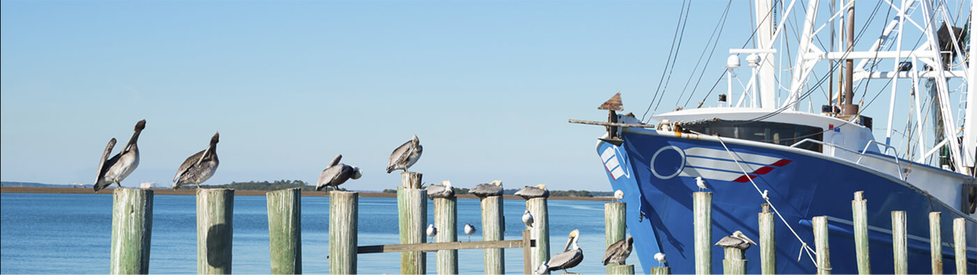 Amelia Island Florida Attorneys