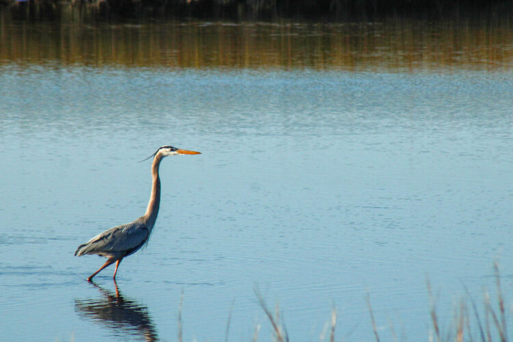 GettyImages-2225150346