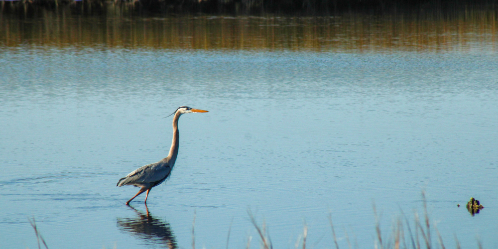 GettyImages-2225150346